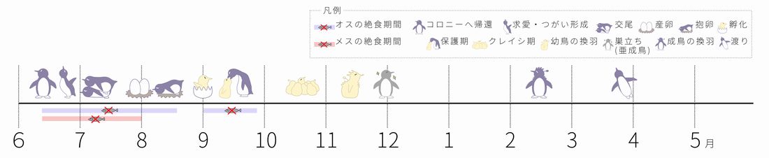 ペンギンカレンダー