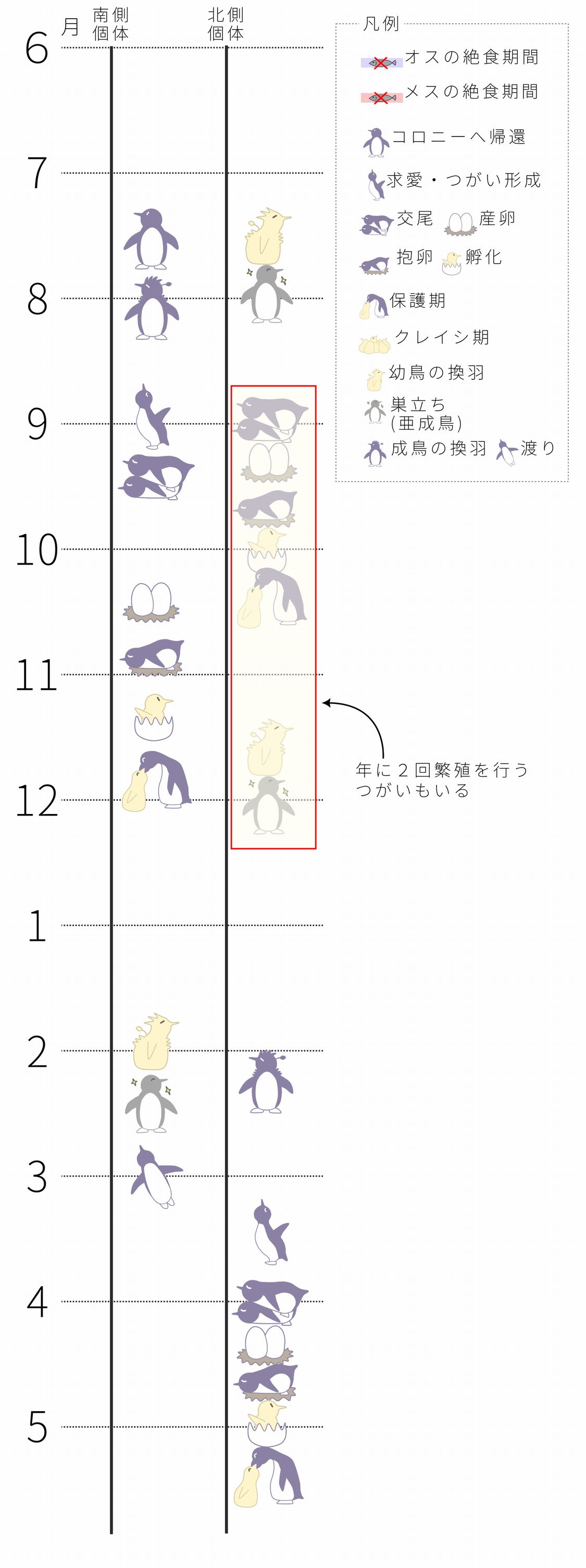 ペンギンカレンダー(スマホ用)