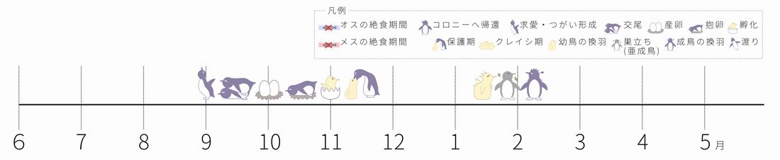 ペンギンカレンダー